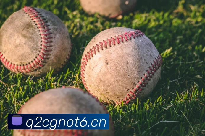 乐竞体育首页官网服务体系